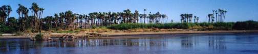 cabo-san-jose-estuary-1.jpg - 9792 Bytes